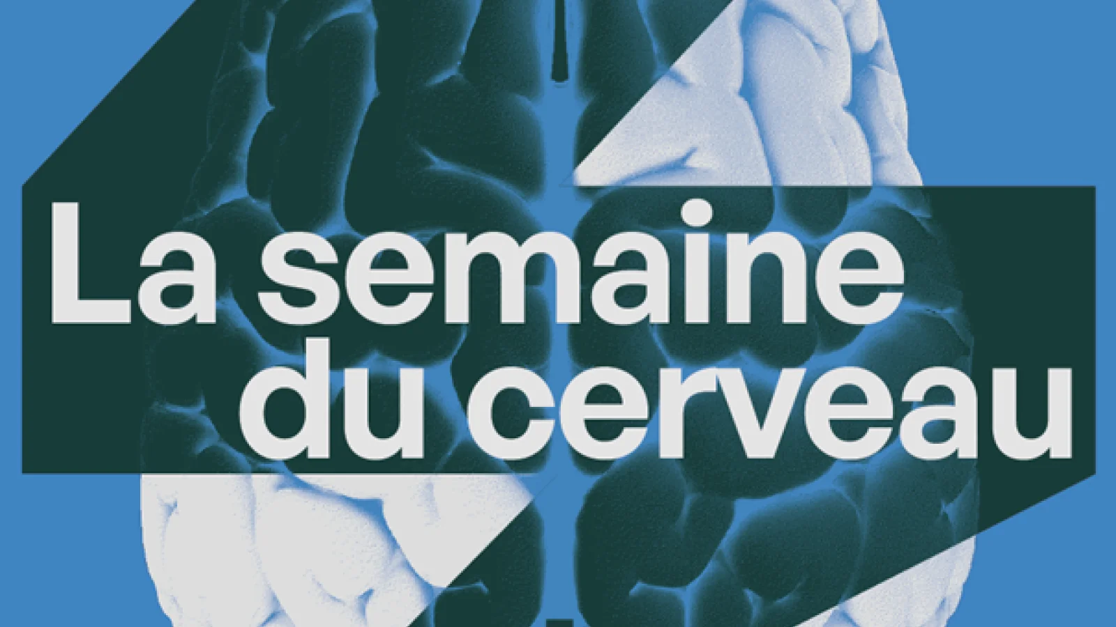 Brainweek in Lausanne