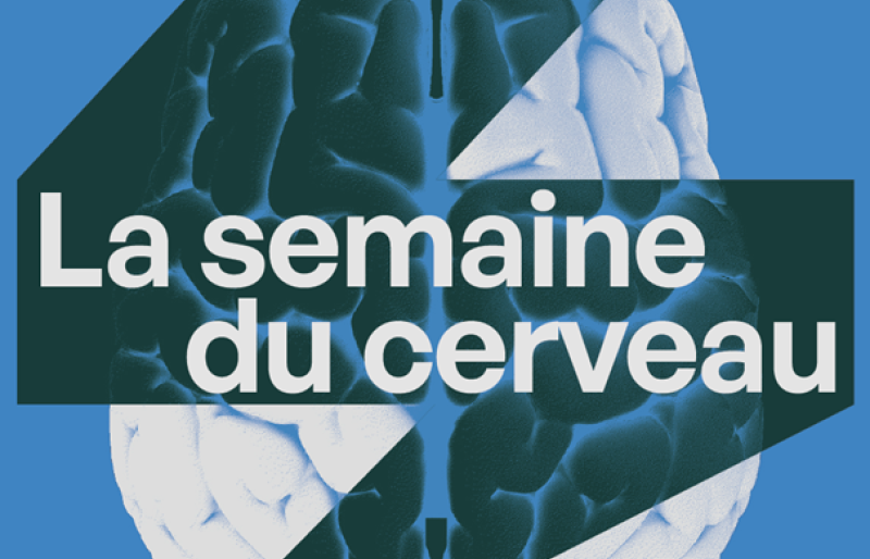 Brainweek in Lausanne